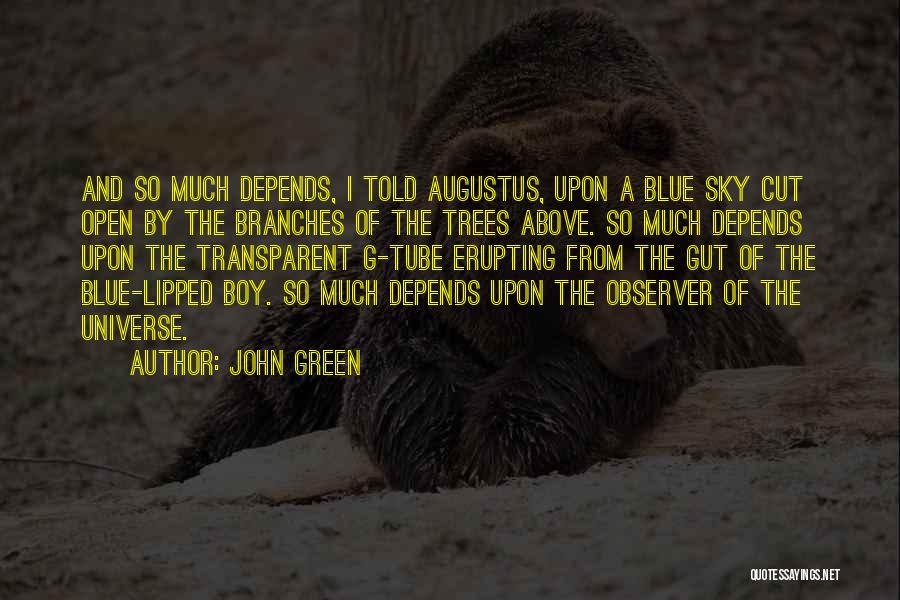 John Green Quotes: And So Much Depends, I Told Augustus, Upon A Blue Sky Cut Open By The Branches Of The Trees Above.