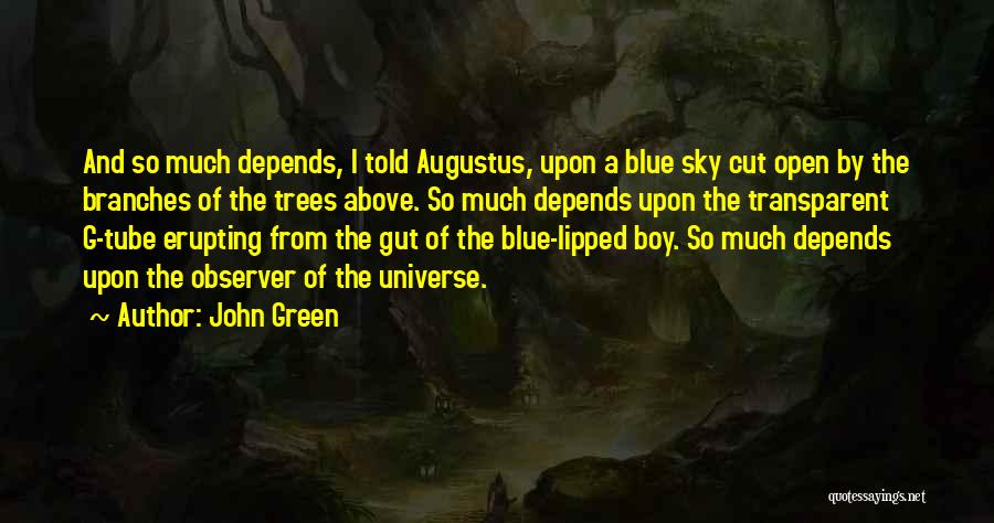 John Green Quotes: And So Much Depends, I Told Augustus, Upon A Blue Sky Cut Open By The Branches Of The Trees Above.