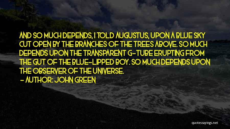 John Green Quotes: And So Much Depends, I Told Augustus, Upon A Blue Sky Cut Open By The Branches Of The Trees Above.