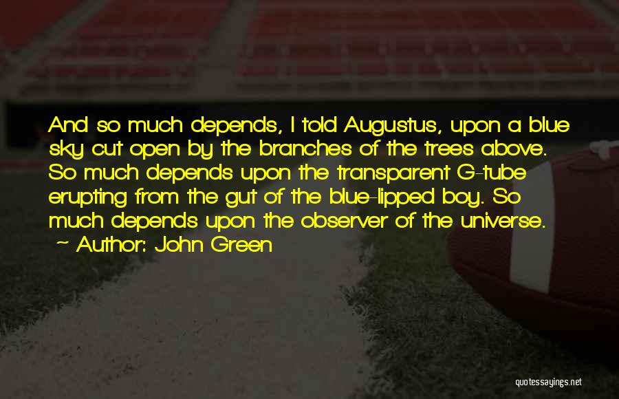 John Green Quotes: And So Much Depends, I Told Augustus, Upon A Blue Sky Cut Open By The Branches Of The Trees Above.