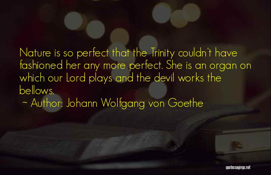 Johann Wolfgang Von Goethe Quotes: Nature Is So Perfect That The Trinity Couldn't Have Fashioned Her Any More Perfect. She Is An Organ On Which
