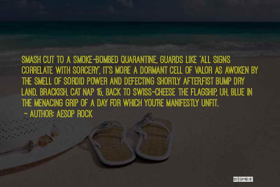 Aesop Rock Quotes: Smash Cut To A Smoke-bombed Quarantine, Guards Like 'all Signs Correlate With Sorcery', It's More A Dormant Cell Of Valor