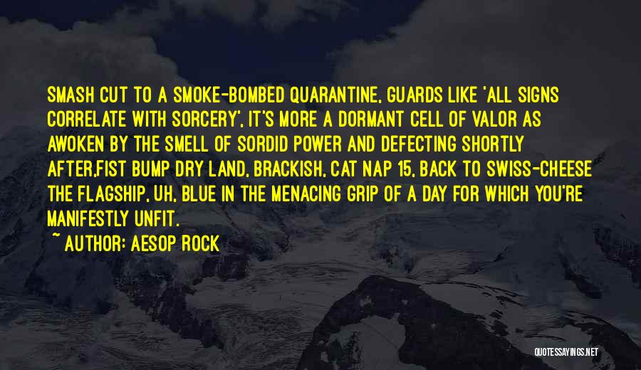 Aesop Rock Quotes: Smash Cut To A Smoke-bombed Quarantine, Guards Like 'all Signs Correlate With Sorcery', It's More A Dormant Cell Of Valor
