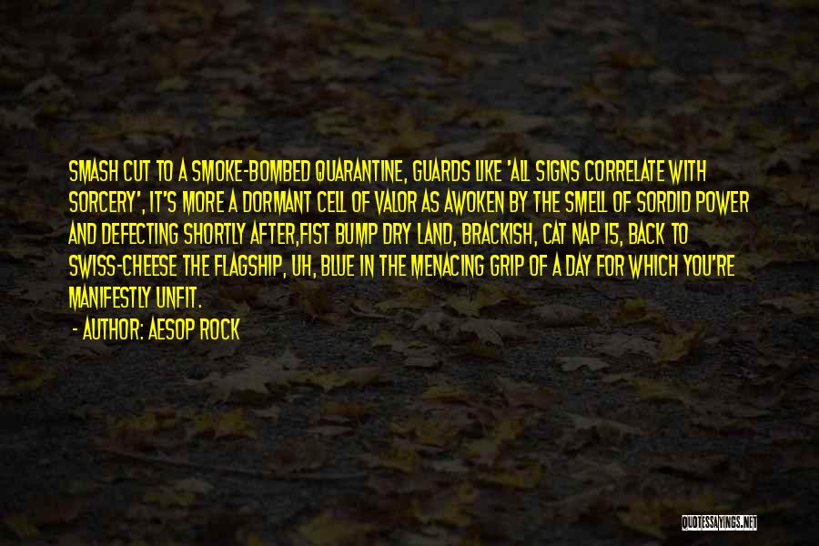 Aesop Rock Quotes: Smash Cut To A Smoke-bombed Quarantine, Guards Like 'all Signs Correlate With Sorcery', It's More A Dormant Cell Of Valor