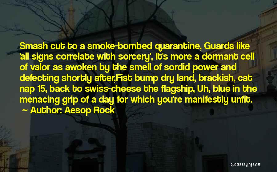 Aesop Rock Quotes: Smash Cut To A Smoke-bombed Quarantine, Guards Like 'all Signs Correlate With Sorcery', It's More A Dormant Cell Of Valor