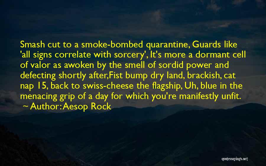 Aesop Rock Quotes: Smash Cut To A Smoke-bombed Quarantine, Guards Like 'all Signs Correlate With Sorcery', It's More A Dormant Cell Of Valor