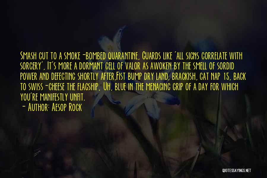 Aesop Rock Quotes: Smash Cut To A Smoke-bombed Quarantine, Guards Like 'all Signs Correlate With Sorcery', It's More A Dormant Cell Of Valor