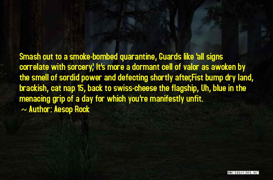 Aesop Rock Quotes: Smash Cut To A Smoke-bombed Quarantine, Guards Like 'all Signs Correlate With Sorcery', It's More A Dormant Cell Of Valor