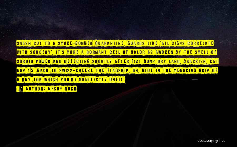 Aesop Rock Quotes: Smash Cut To A Smoke-bombed Quarantine, Guards Like 'all Signs Correlate With Sorcery', It's More A Dormant Cell Of Valor