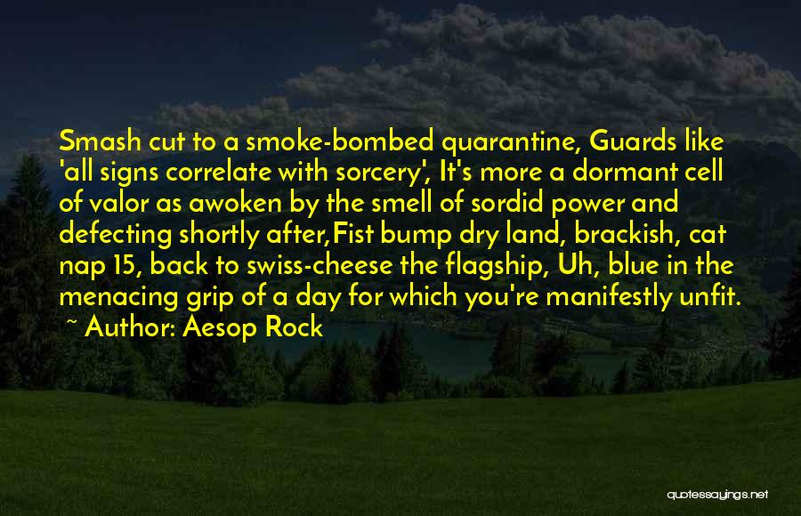 Aesop Rock Quotes: Smash Cut To A Smoke-bombed Quarantine, Guards Like 'all Signs Correlate With Sorcery', It's More A Dormant Cell Of Valor