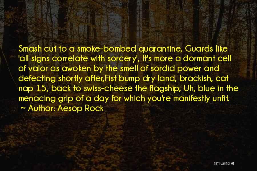 Aesop Rock Quotes: Smash Cut To A Smoke-bombed Quarantine, Guards Like 'all Signs Correlate With Sorcery', It's More A Dormant Cell Of Valor