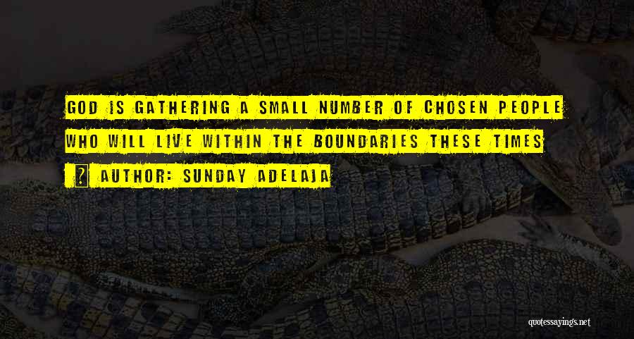 Sunday Adelaja Quotes: God Is Gathering A Small Number Of Chosen People Who Will Live Within The Boundaries These Times