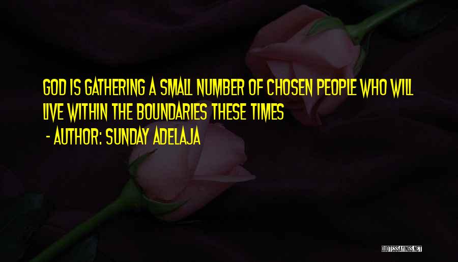 Sunday Adelaja Quotes: God Is Gathering A Small Number Of Chosen People Who Will Live Within The Boundaries These Times