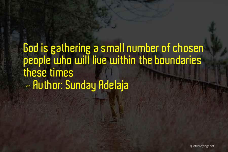 Sunday Adelaja Quotes: God Is Gathering A Small Number Of Chosen People Who Will Live Within The Boundaries These Times