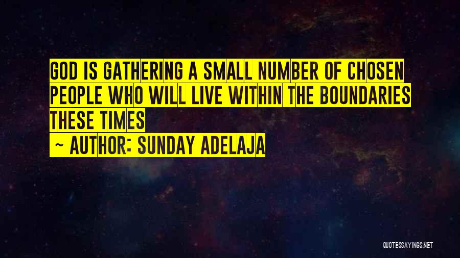 Sunday Adelaja Quotes: God Is Gathering A Small Number Of Chosen People Who Will Live Within The Boundaries These Times