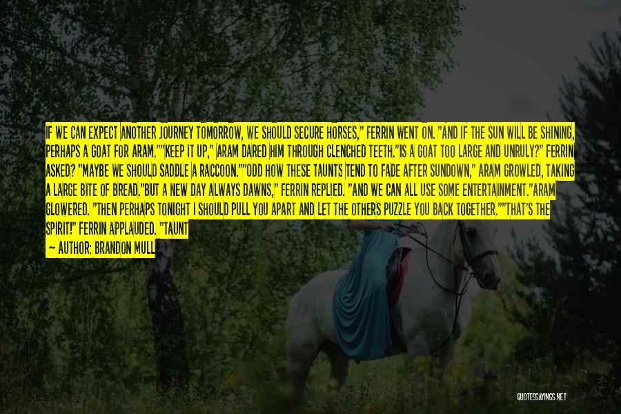 Brandon Mull Quotes: If We Can Expect Another Journey Tomorrow, We Should Secure Horses, Ferrin Went On. And If The Sun Will Be