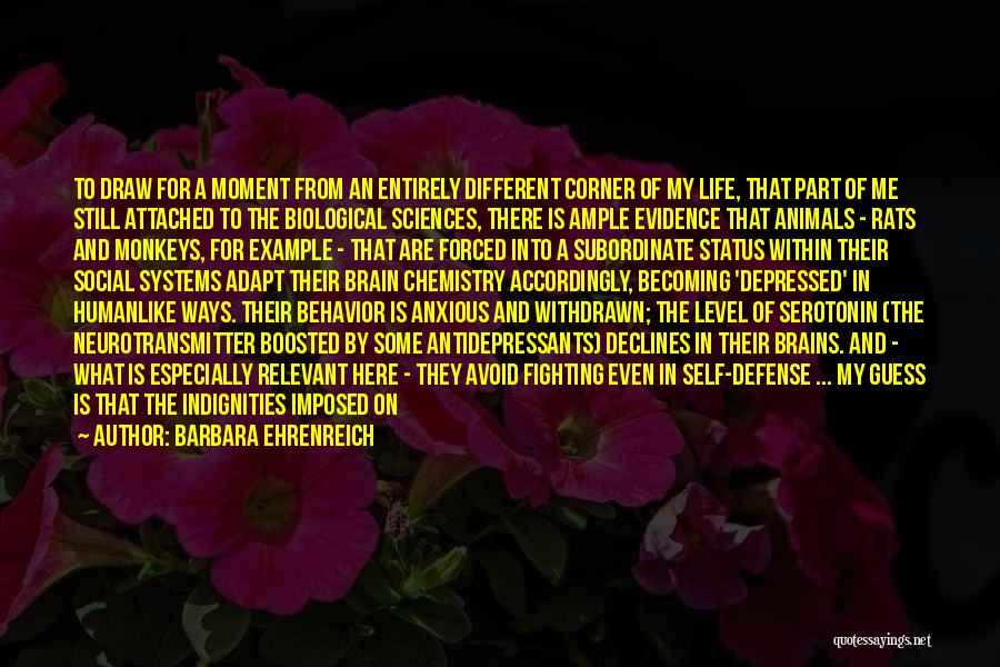Barbara Ehrenreich Quotes: To Draw For A Moment From An Entirely Different Corner Of My Life, That Part Of Me Still Attached To