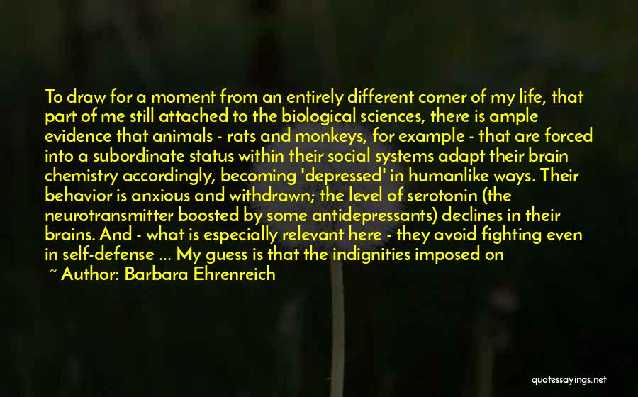 Barbara Ehrenreich Quotes: To Draw For A Moment From An Entirely Different Corner Of My Life, That Part Of Me Still Attached To