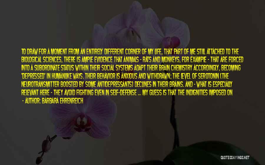 Barbara Ehrenreich Quotes: To Draw For A Moment From An Entirely Different Corner Of My Life, That Part Of Me Still Attached To