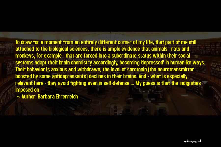 Barbara Ehrenreich Quotes: To Draw For A Moment From An Entirely Different Corner Of My Life, That Part Of Me Still Attached To