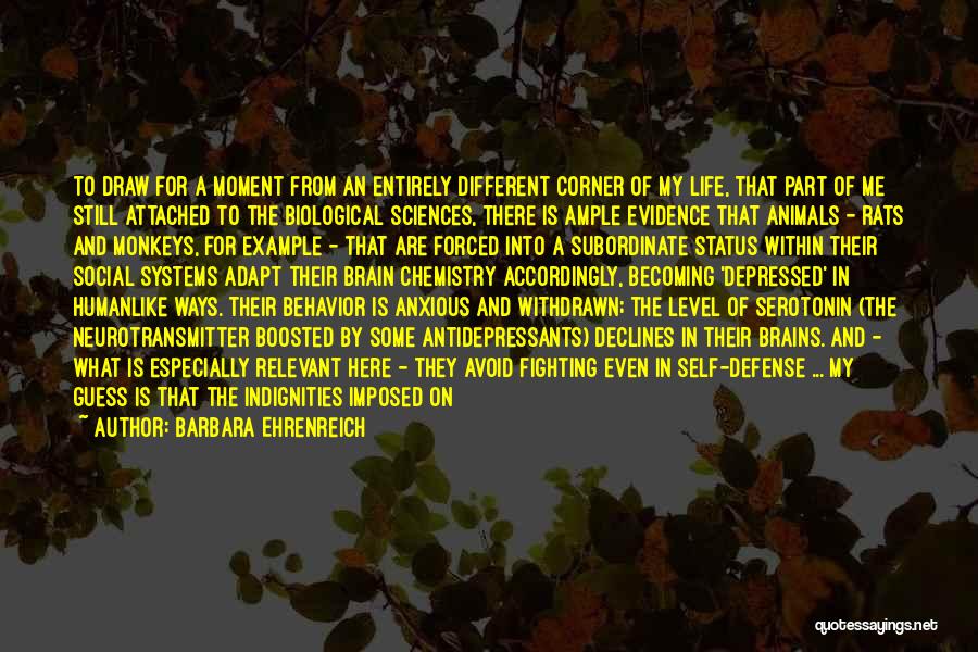 Barbara Ehrenreich Quotes: To Draw For A Moment From An Entirely Different Corner Of My Life, That Part Of Me Still Attached To