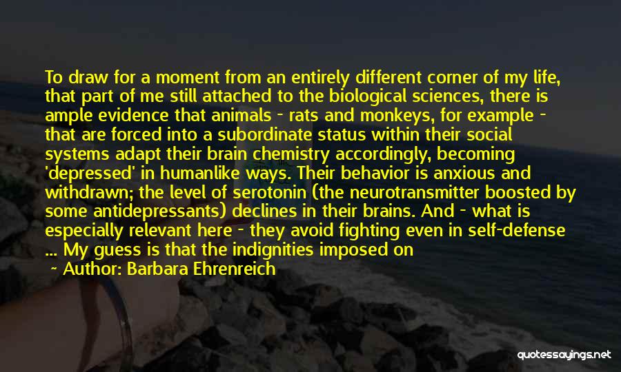 Barbara Ehrenreich Quotes: To Draw For A Moment From An Entirely Different Corner Of My Life, That Part Of Me Still Attached To