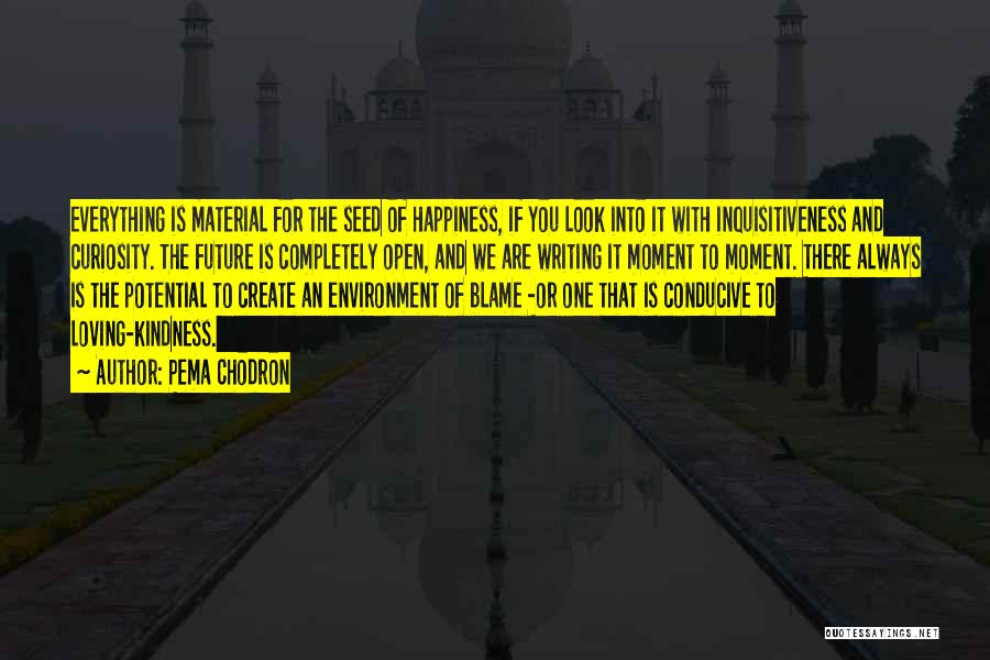 Pema Chodron Quotes: Everything Is Material For The Seed Of Happiness, If You Look Into It With Inquisitiveness And Curiosity. The Future Is