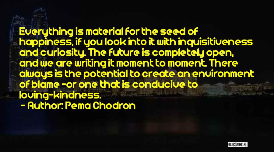 Pema Chodron Quotes: Everything Is Material For The Seed Of Happiness, If You Look Into It With Inquisitiveness And Curiosity. The Future Is