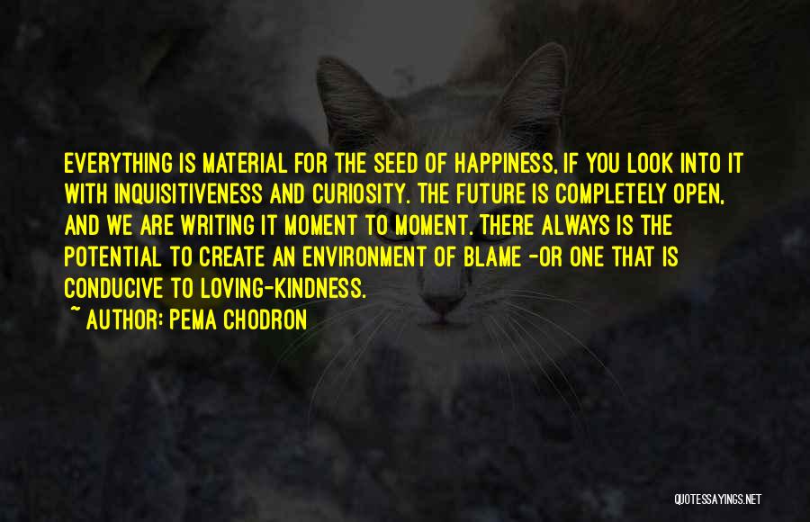 Pema Chodron Quotes: Everything Is Material For The Seed Of Happiness, If You Look Into It With Inquisitiveness And Curiosity. The Future Is