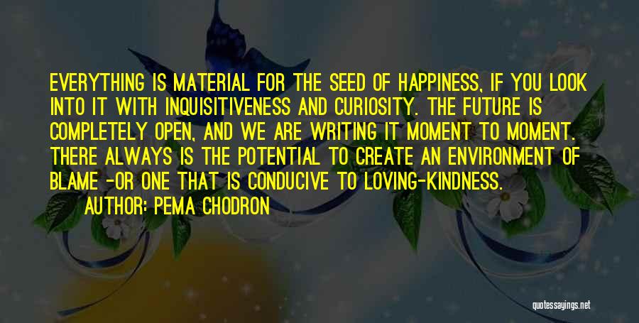 Pema Chodron Quotes: Everything Is Material For The Seed Of Happiness, If You Look Into It With Inquisitiveness And Curiosity. The Future Is
