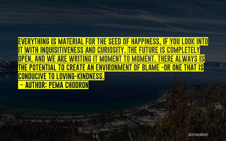 Pema Chodron Quotes: Everything Is Material For The Seed Of Happiness, If You Look Into It With Inquisitiveness And Curiosity. The Future Is