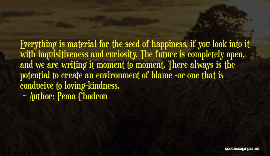 Pema Chodron Quotes: Everything Is Material For The Seed Of Happiness, If You Look Into It With Inquisitiveness And Curiosity. The Future Is