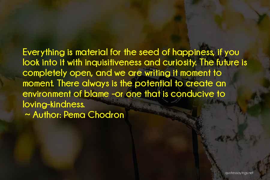 Pema Chodron Quotes: Everything Is Material For The Seed Of Happiness, If You Look Into It With Inquisitiveness And Curiosity. The Future Is