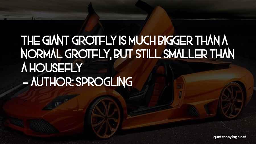 Sprogling Quotes: The Giant Grotfly Is Much Bigger Than A Normal Grotfly, But Still Smaller Than A Housefly