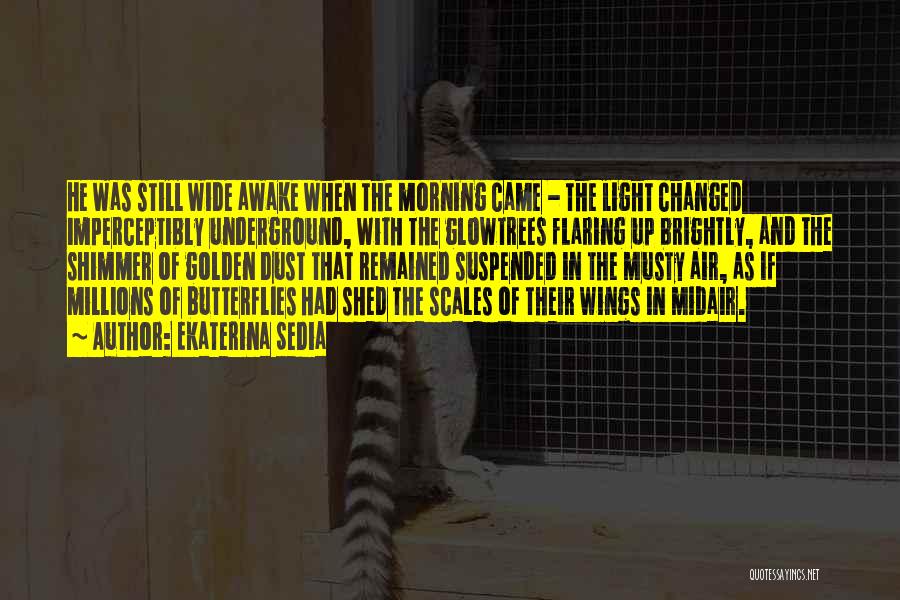 Ekaterina Sedia Quotes: He Was Still Wide Awake When The Morning Came - The Light Changed Imperceptibly Underground, With The Glowtrees Flaring Up