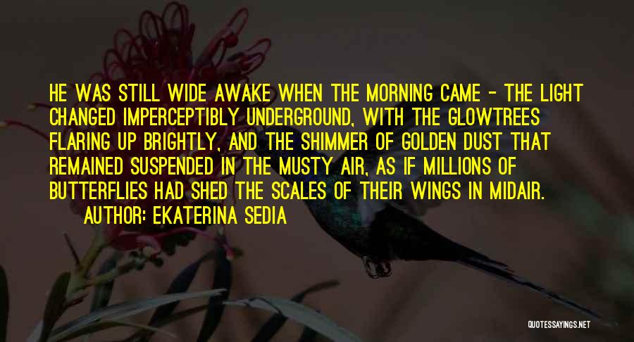 Ekaterina Sedia Quotes: He Was Still Wide Awake When The Morning Came - The Light Changed Imperceptibly Underground, With The Glowtrees Flaring Up