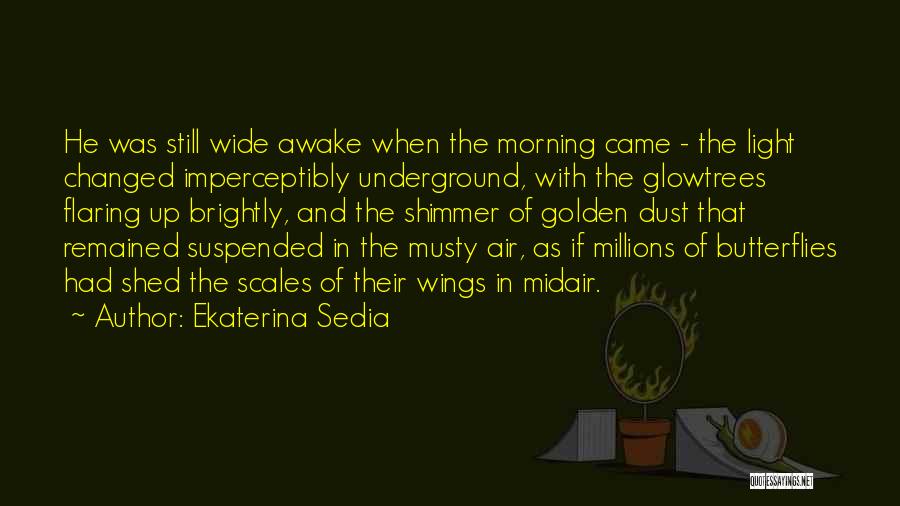 Ekaterina Sedia Quotes: He Was Still Wide Awake When The Morning Came - The Light Changed Imperceptibly Underground, With The Glowtrees Flaring Up