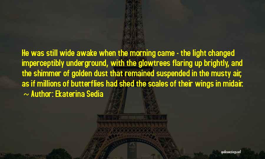 Ekaterina Sedia Quotes: He Was Still Wide Awake When The Morning Came - The Light Changed Imperceptibly Underground, With The Glowtrees Flaring Up