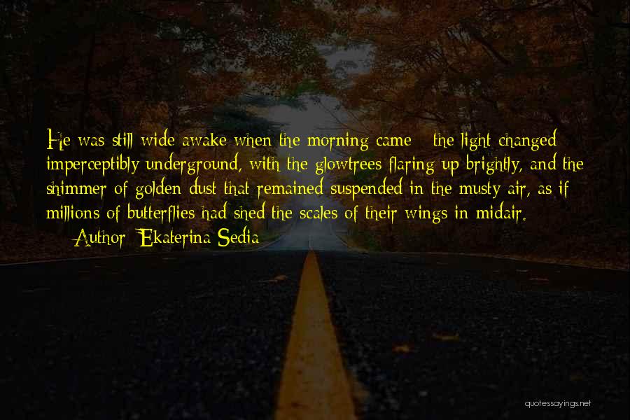 Ekaterina Sedia Quotes: He Was Still Wide Awake When The Morning Came - The Light Changed Imperceptibly Underground, With The Glowtrees Flaring Up
