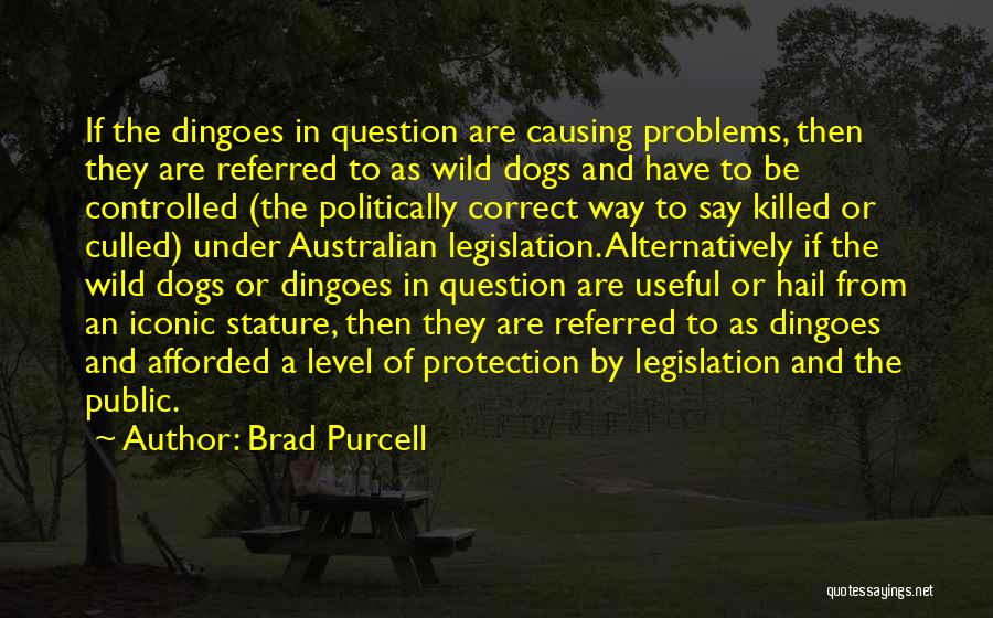 Brad Purcell Quotes: If The Dingoes In Question Are Causing Problems, Then They Are Referred To As Wild Dogs And Have To Be