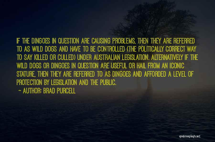 Brad Purcell Quotes: If The Dingoes In Question Are Causing Problems, Then They Are Referred To As Wild Dogs And Have To Be