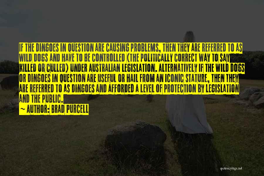 Brad Purcell Quotes: If The Dingoes In Question Are Causing Problems, Then They Are Referred To As Wild Dogs And Have To Be
