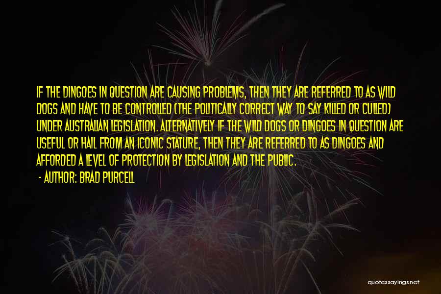 Brad Purcell Quotes: If The Dingoes In Question Are Causing Problems, Then They Are Referred To As Wild Dogs And Have To Be