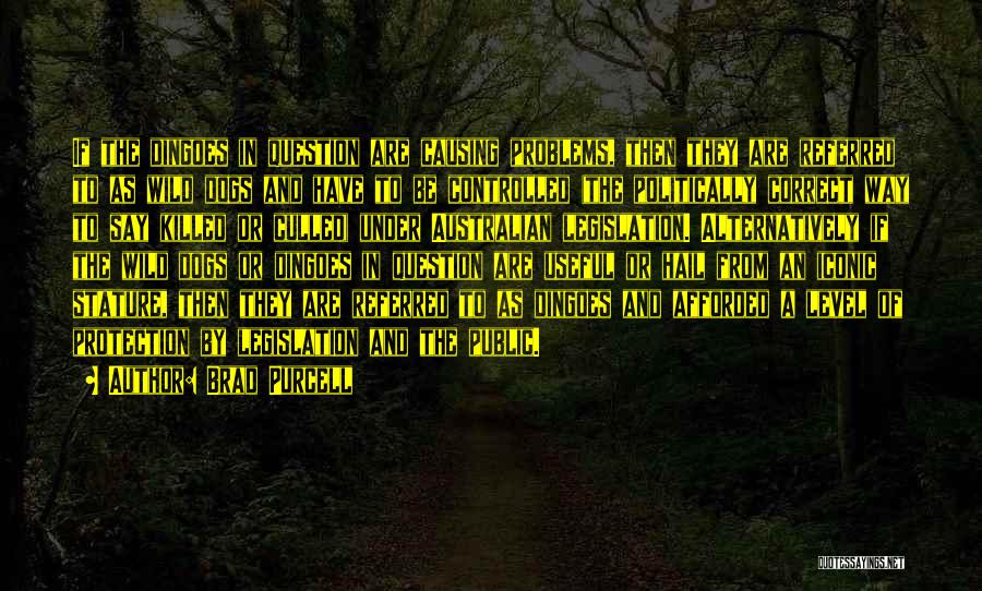 Brad Purcell Quotes: If The Dingoes In Question Are Causing Problems, Then They Are Referred To As Wild Dogs And Have To Be