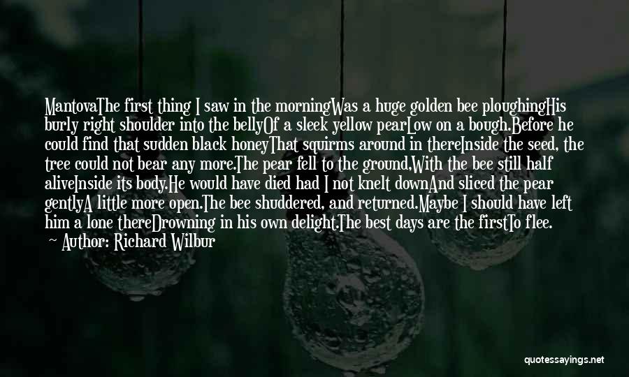 Richard Wilbur Quotes: Mantovathe First Thing I Saw In The Morningwas A Huge Golden Bee Ploughinghis Burly Right Shoulder Into The Bellyof A