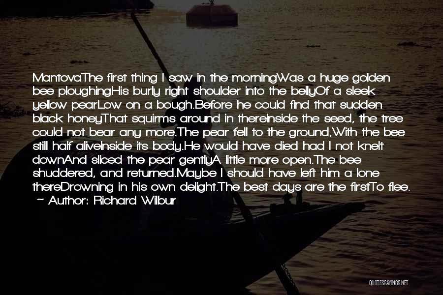 Richard Wilbur Quotes: Mantovathe First Thing I Saw In The Morningwas A Huge Golden Bee Ploughinghis Burly Right Shoulder Into The Bellyof A