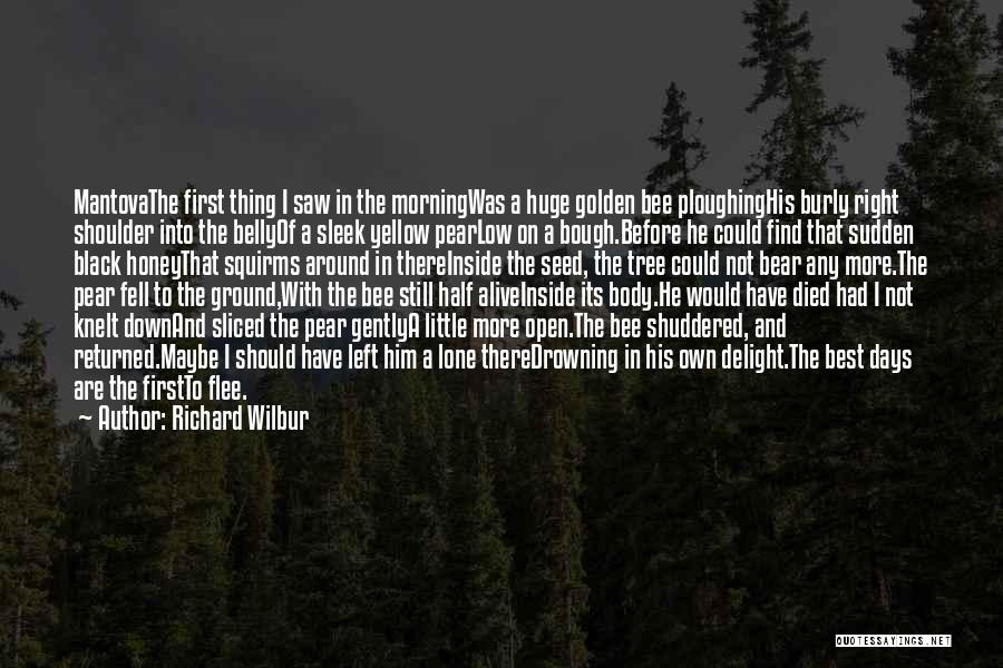 Richard Wilbur Quotes: Mantovathe First Thing I Saw In The Morningwas A Huge Golden Bee Ploughinghis Burly Right Shoulder Into The Bellyof A