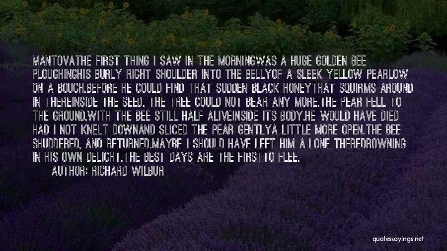 Richard Wilbur Quotes: Mantovathe First Thing I Saw In The Morningwas A Huge Golden Bee Ploughinghis Burly Right Shoulder Into The Bellyof A