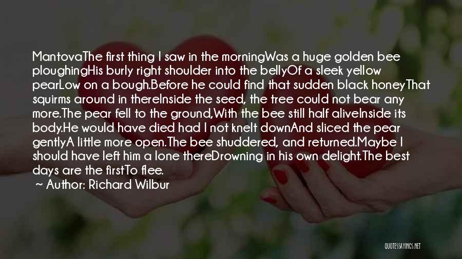 Richard Wilbur Quotes: Mantovathe First Thing I Saw In The Morningwas A Huge Golden Bee Ploughinghis Burly Right Shoulder Into The Bellyof A