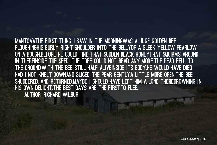 Richard Wilbur Quotes: Mantovathe First Thing I Saw In The Morningwas A Huge Golden Bee Ploughinghis Burly Right Shoulder Into The Bellyof A